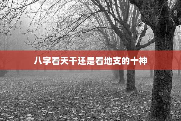 八字看天干还是看地支的十神