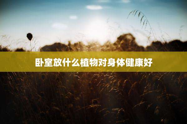 卧室放什么植物对身体健康好