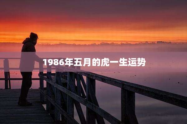 1986年五月的虎一生运势