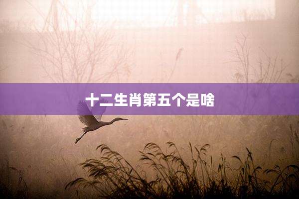 十二生肖第五个是啥