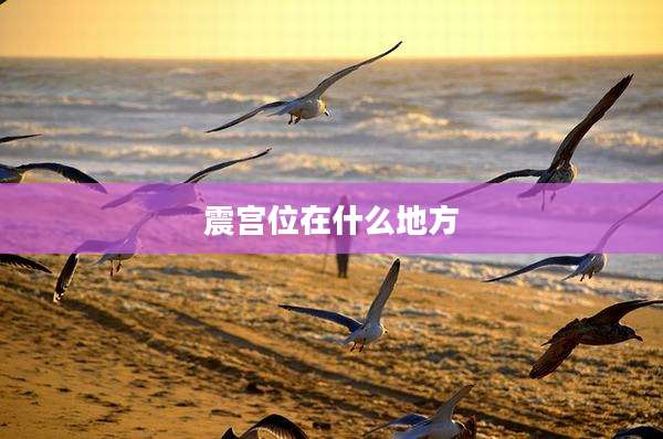震宫位在什么地方