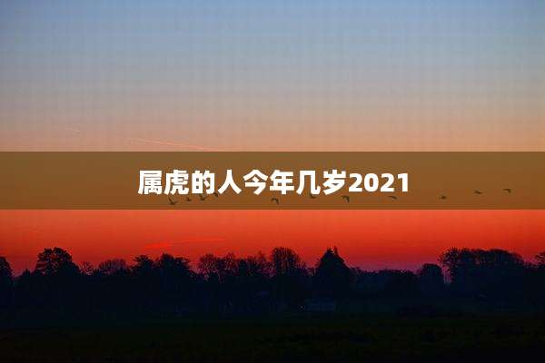 属虎的人今年几岁2021