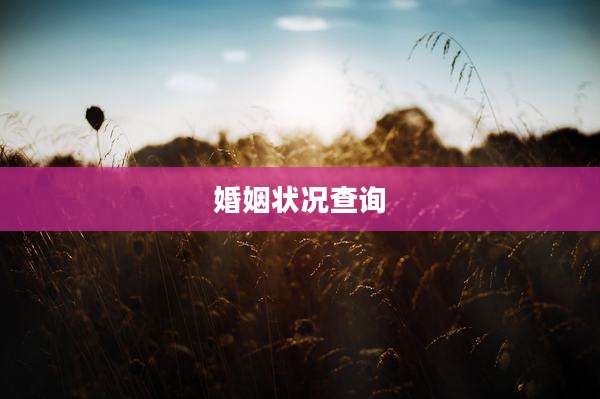 婚姻状况查询