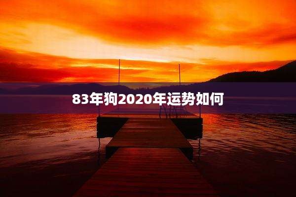 83年狗2020年运势如何