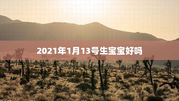 2021年1月13号生宝宝好吗