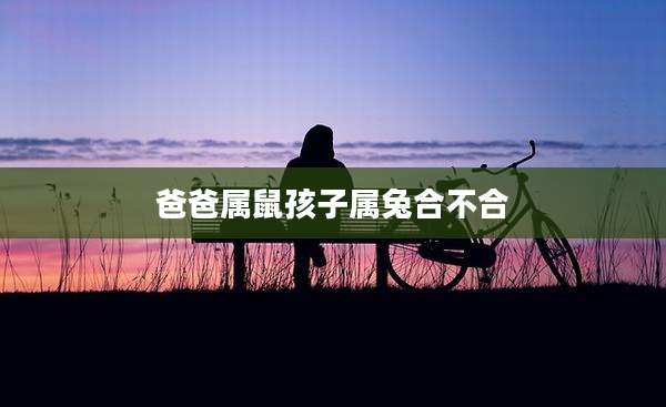 爸爸属鼠孩子属兔合不合