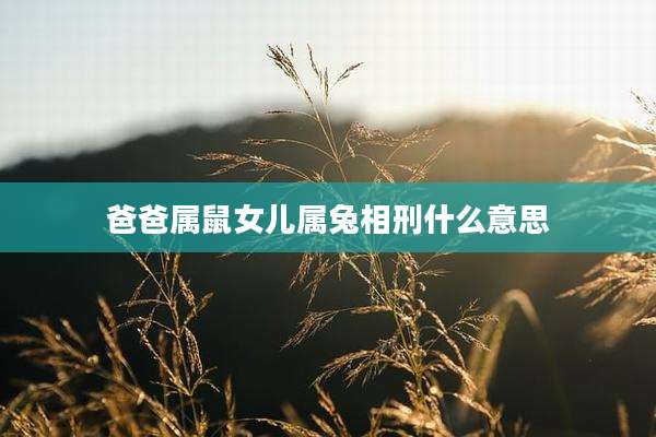 爸爸属鼠女儿属兔相刑什么意思