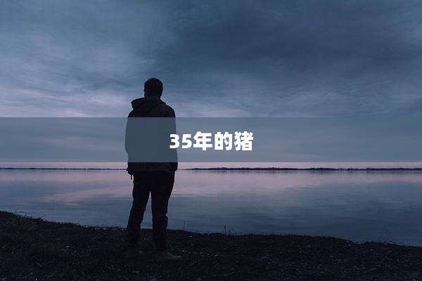 35年的猪