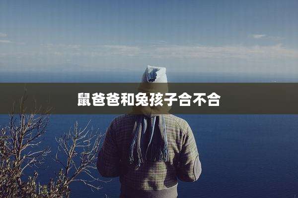 鼠爸爸和兔孩子合不合