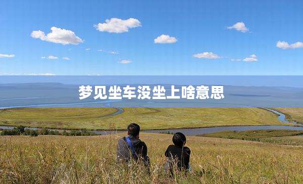 梦见坐车没坐上啥意思