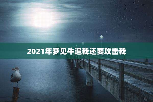 2021年梦见牛追我还要攻击我