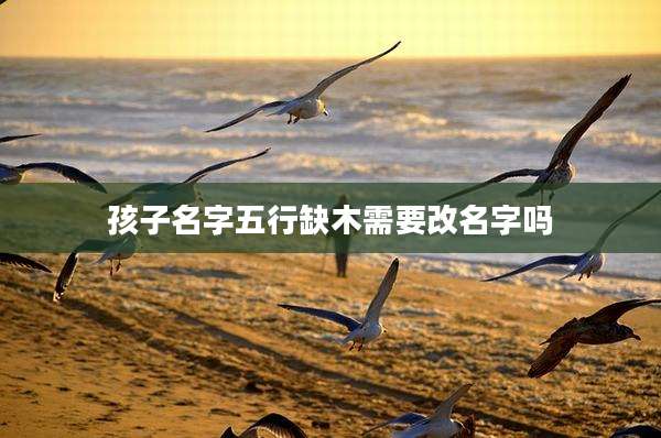 孩子名字五行缺木需要改名字吗