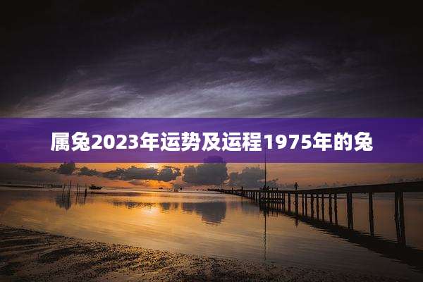 属兔2023年运势及运程1975年的兔