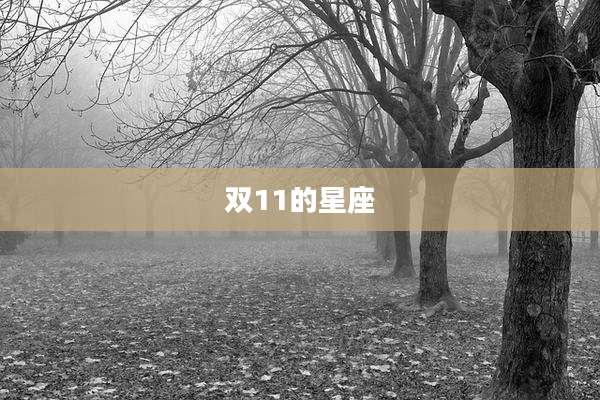 双11的星座