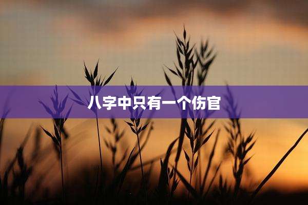 八字中只有一个伤官