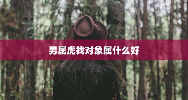 男属虎找对象属什么好