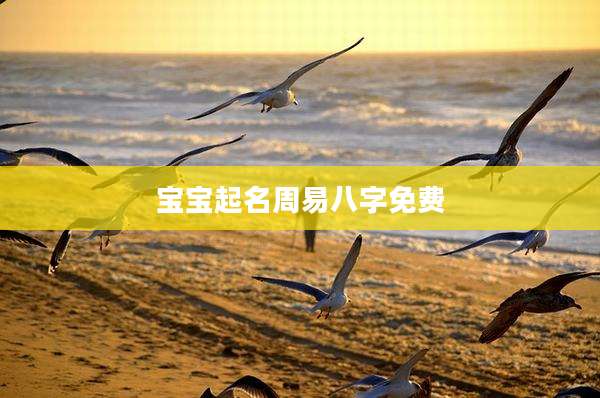 宝宝起名周易八字免费
