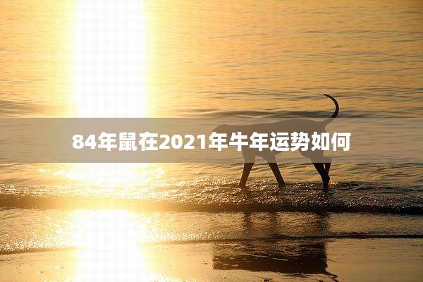 84年鼠在2021年牛年运势如何