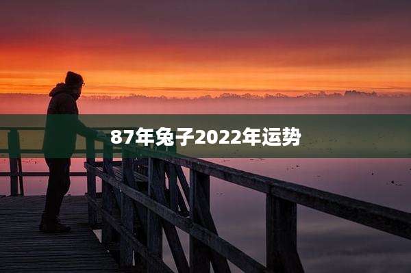 87年兔子2022年运势