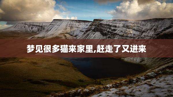 梦见很多猫来家里,赶走了又进来
