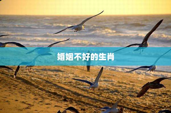 婚姻不好的生肖