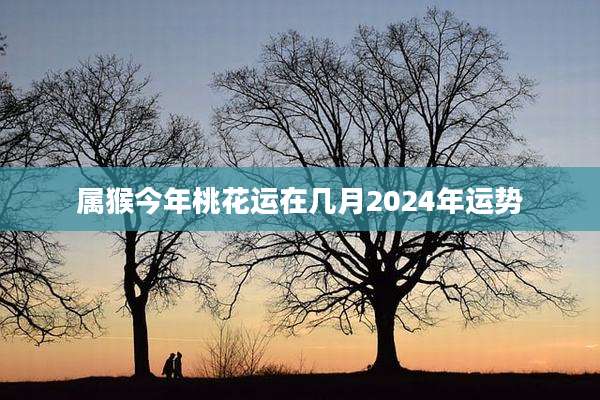 属猴今年桃花运在几月2024年运势