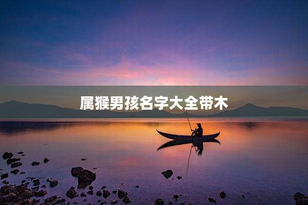 属猴男孩名字大全带木