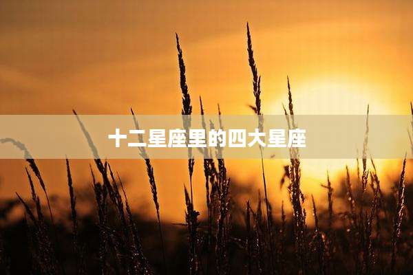 十二星座里的四大星座