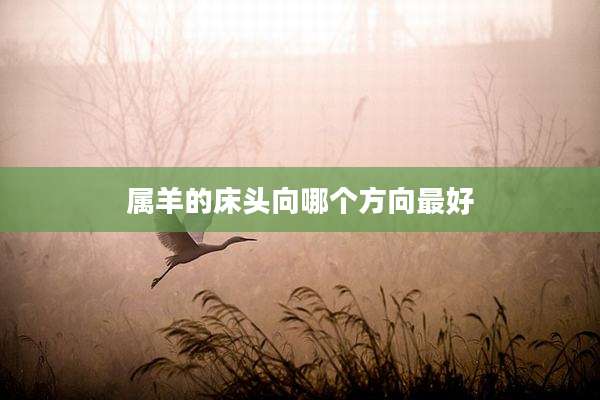 属羊的床头向哪个方向最好