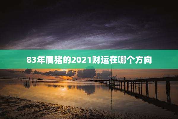 83年属猪的2021财运在哪个方向