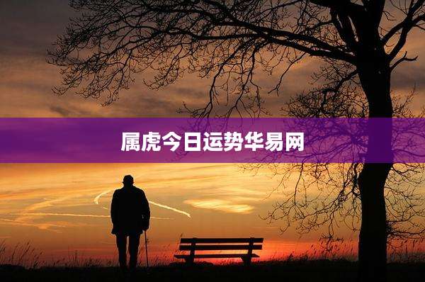 属虎今日运势华易网