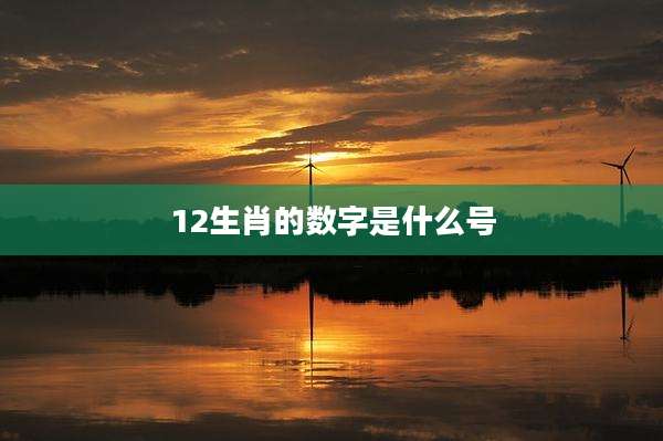 12生肖的数字是什么号