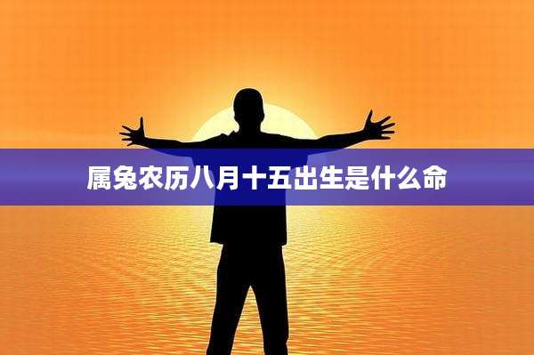 属兔农历八月十五出生是什么命