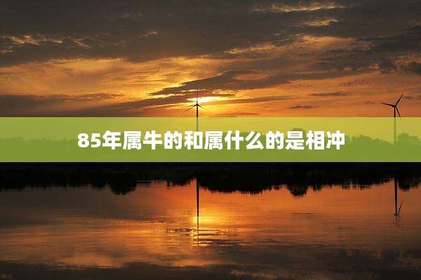 85年属牛的和属什么的是相冲