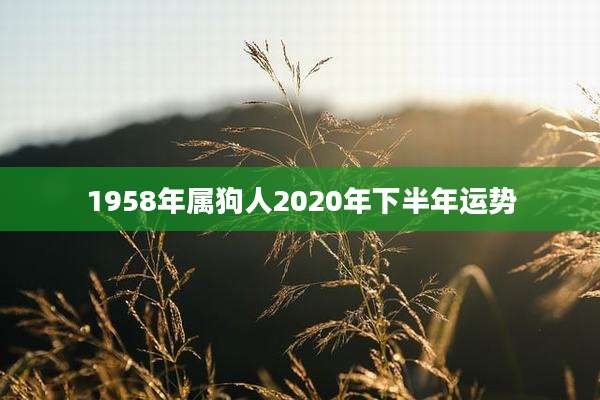 1958年属狗人2020年下半年运势