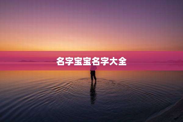 名字宝宝名字大全