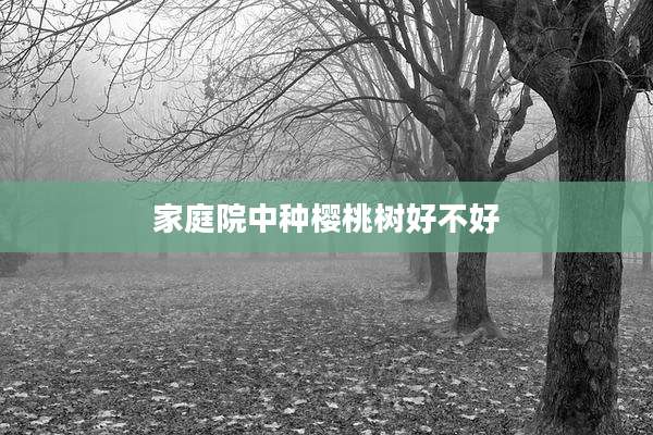 家庭院中种樱桃树好不好