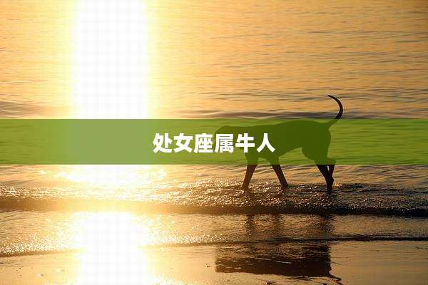 处女座属牛人
