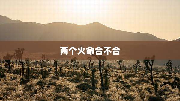 两个火命合不合