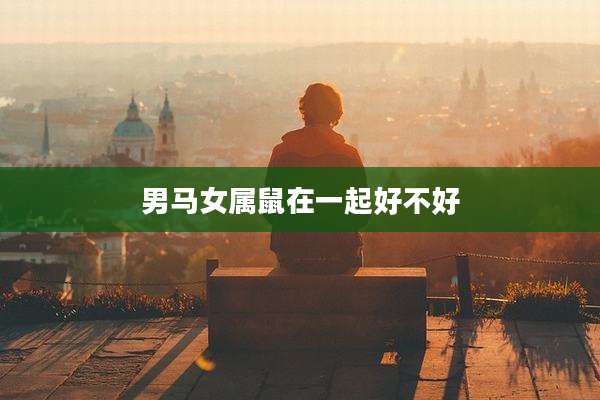 男马女属鼠在一起好不好