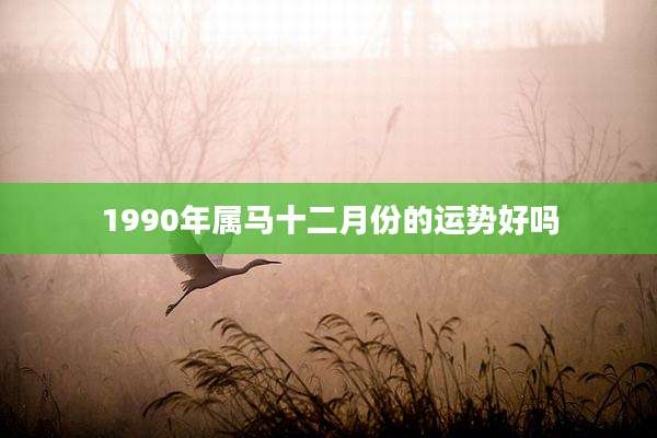 1990年属马十二月份的运势好吗