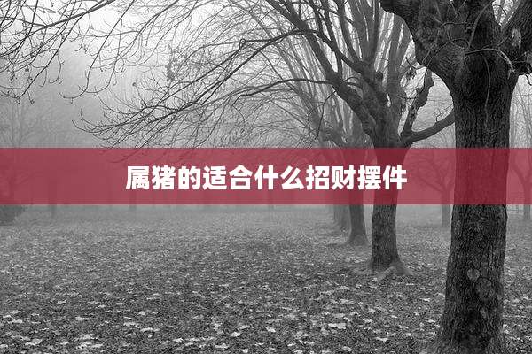 属猪的适合什么招财摆件