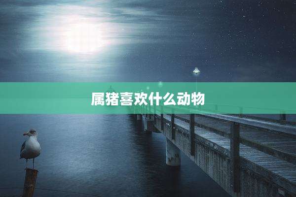 属猪喜欢什么动物