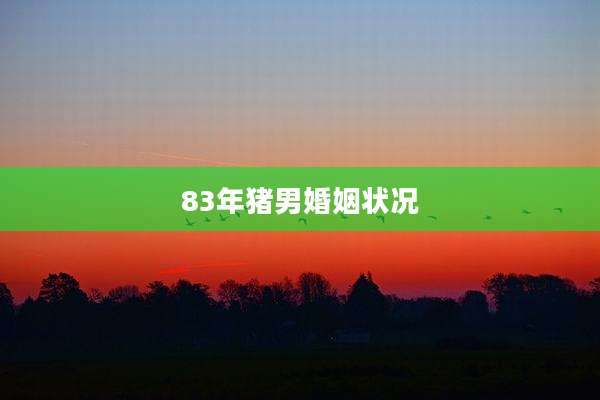83年猪男婚姻状况