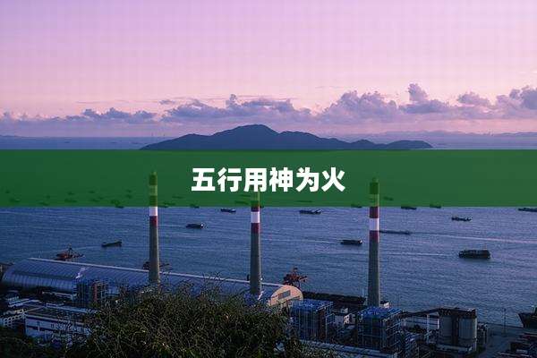 五行用神为火