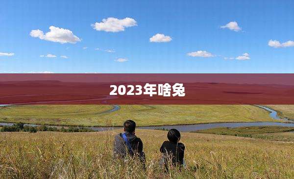 2023年啥兔