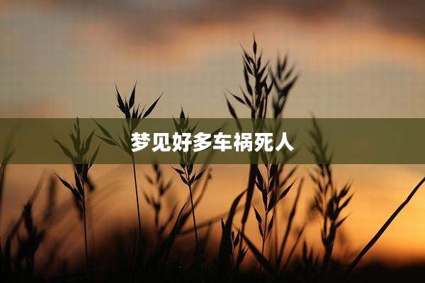 梦见好多车祸死人