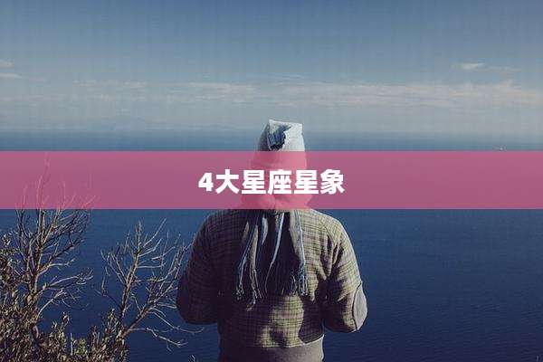 4大星座星象