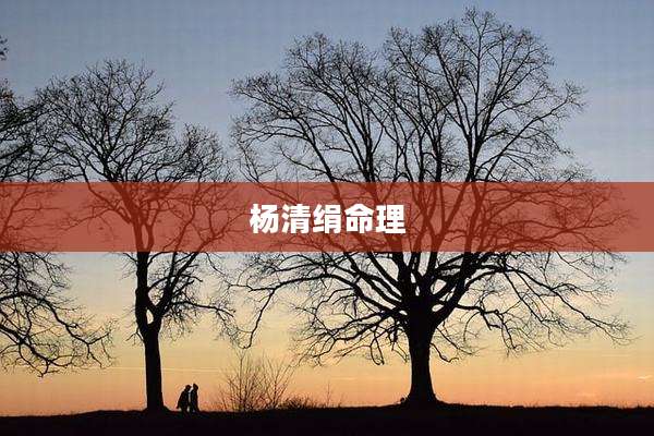杨清绢命理