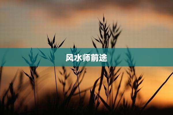 风水师前途